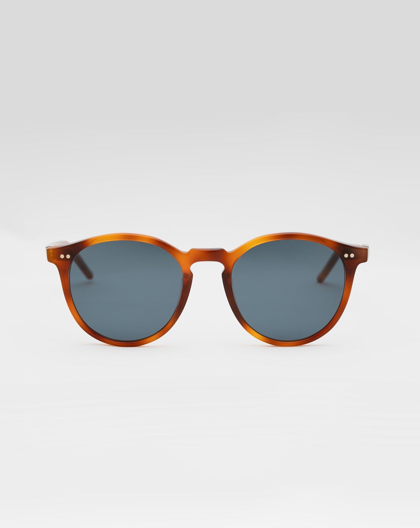 SUNGLASSES-UNISEX-MEN-WOMEN-PALMER-HAVANA |HAVANA