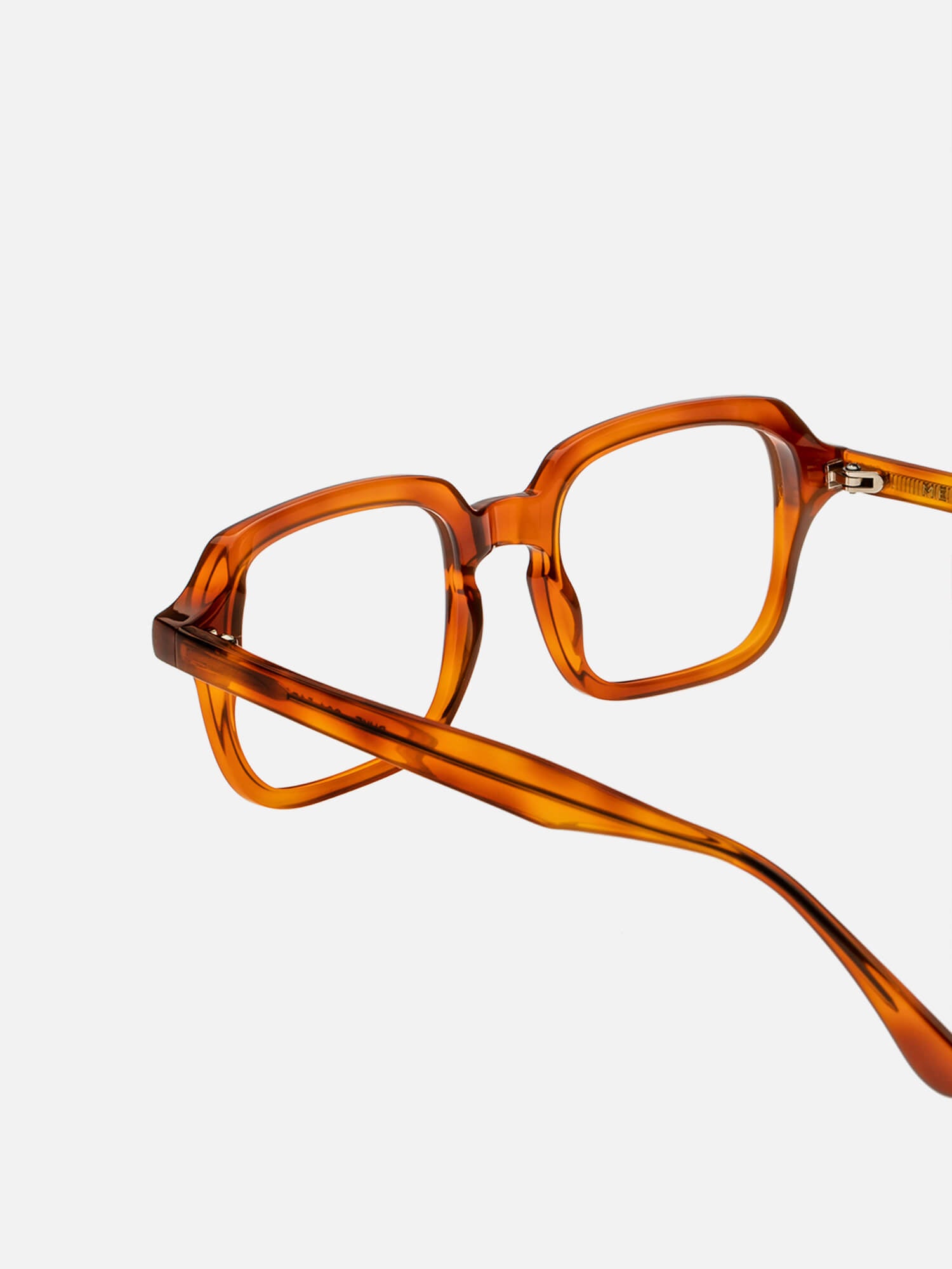 OPTICAL/WOMEN/MEN/UNISEX/DUKE/HAVANA/ACETATE-TEMPLE |HAVANA